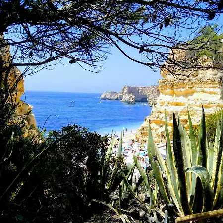 Luxury & Private Heatable Pool In Villa